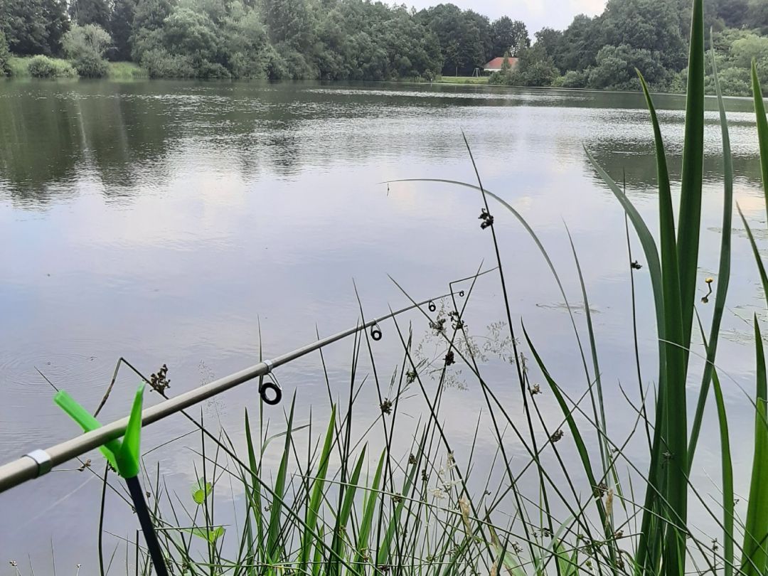 Maiglöckchensee angeln