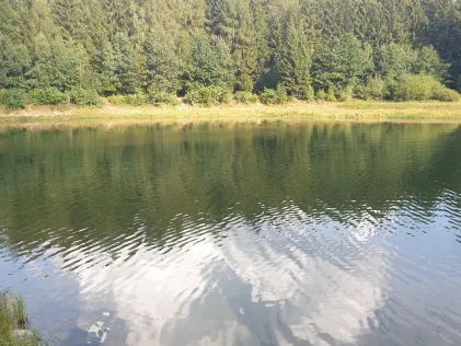 Heiliger Teich (Brünlos)