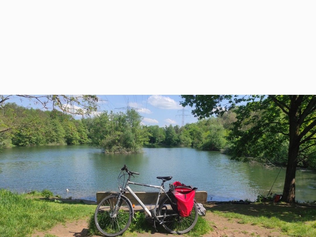 Weiher unter der Hochspannung angeln