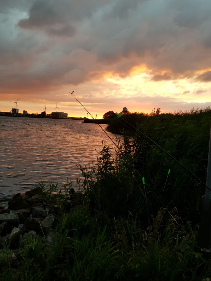 Ijssel (Kampen) angeln