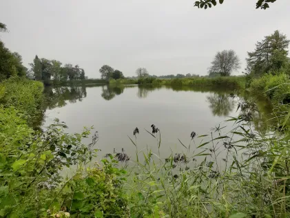 Idingsee