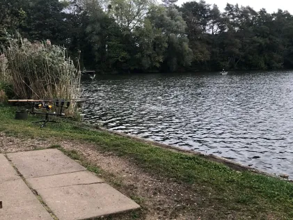 Waldbad Dessau