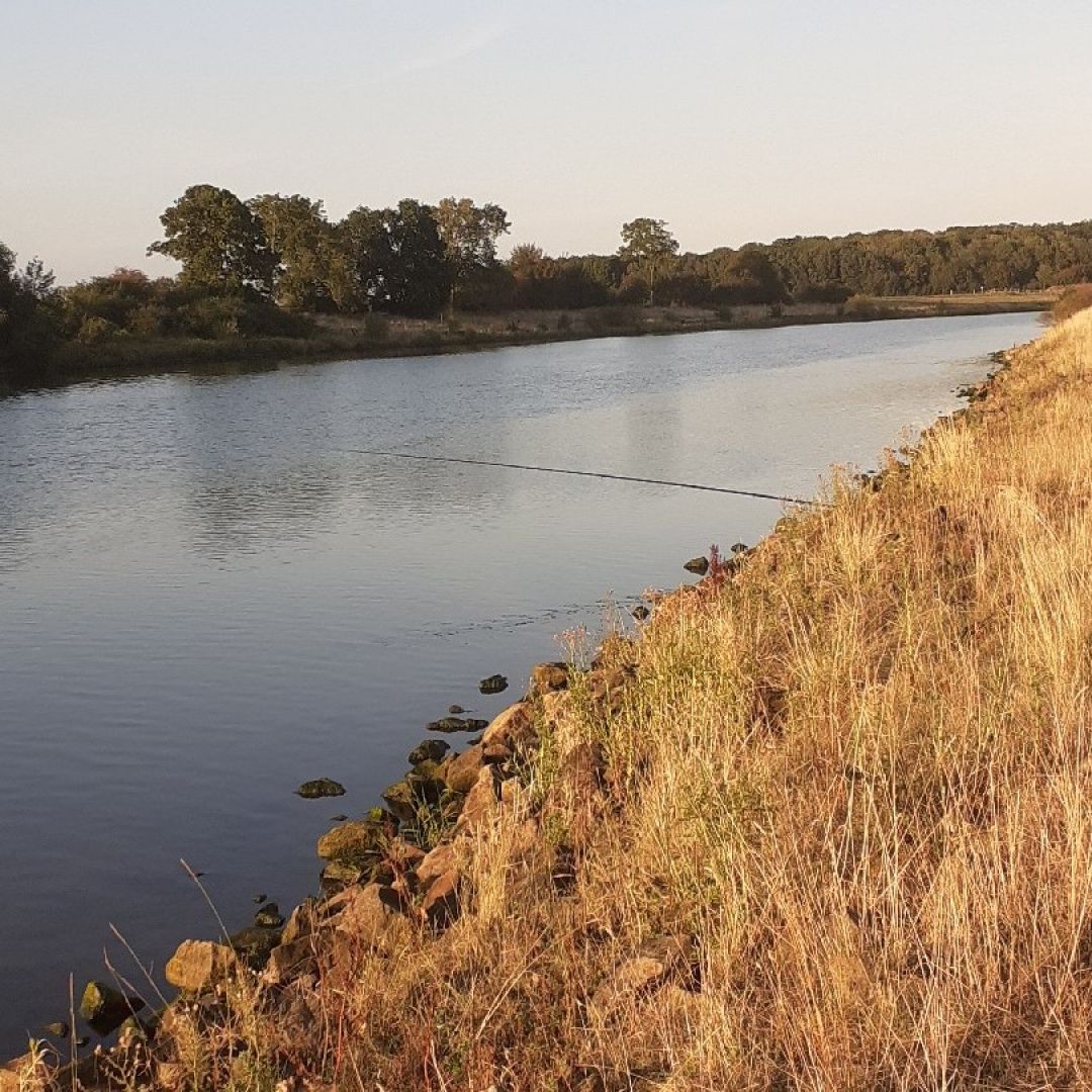 Weser (Eystrup) angeln