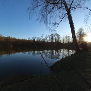 Erlacherweiher (Wemding)