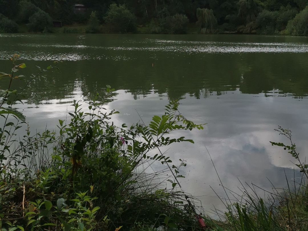 Kalksandsteinsee Holdorf angeln