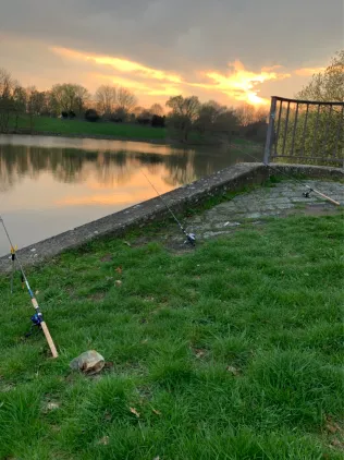 Dove Elbe (Wilhelmsburg)