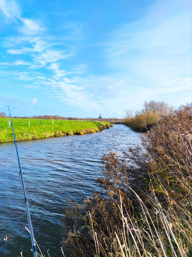 Süderau (Meldorf) angeln