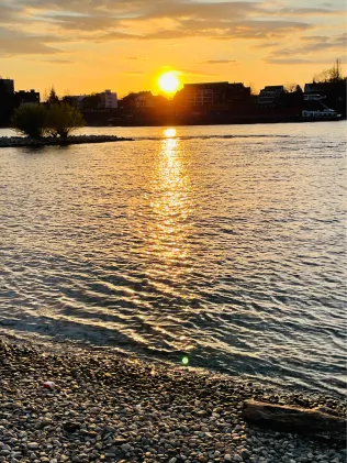Rhein (Duisburg)