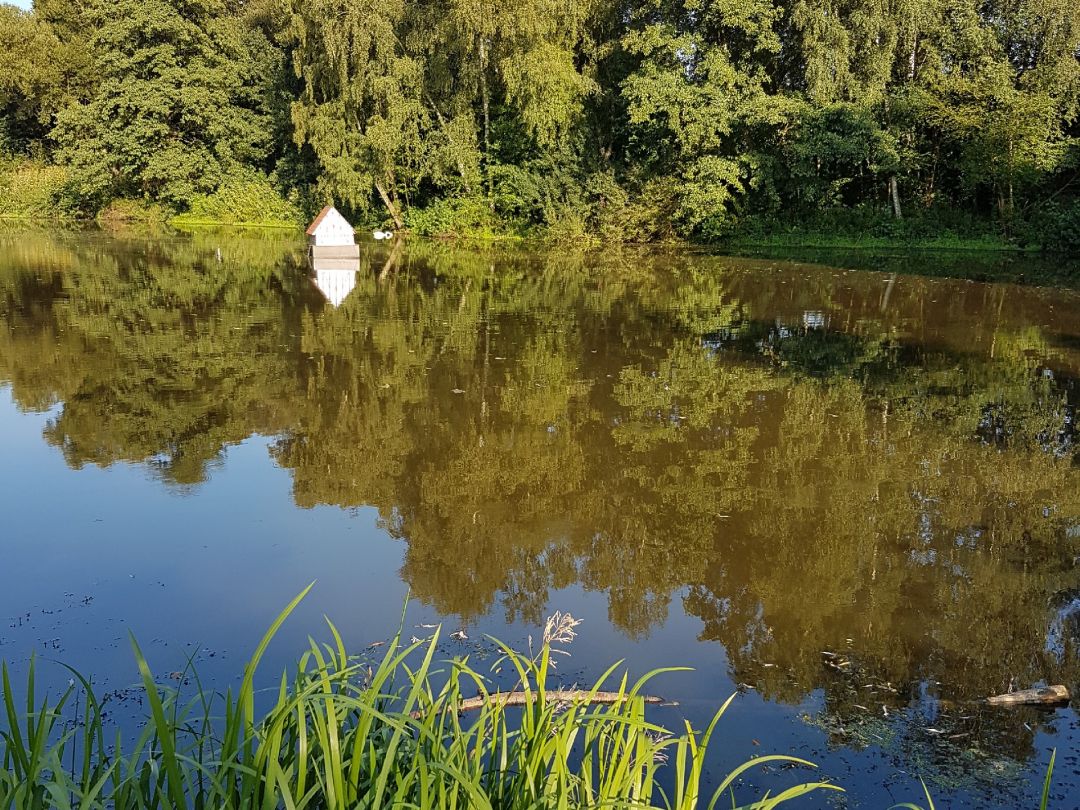 Barrier Mühlenteich angeln