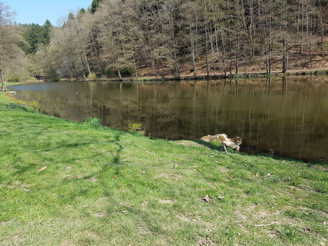 Eisweiher (Pirmasens) angeln