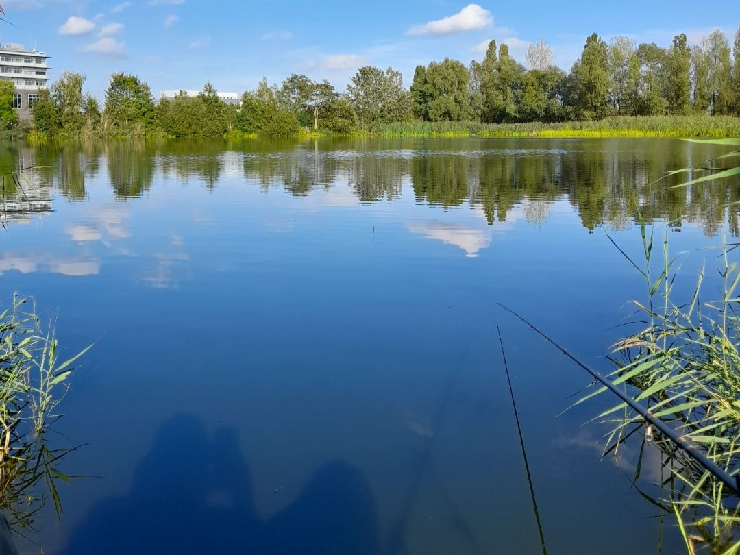 Teich am Klärwerk Waßmannsdorf angeln