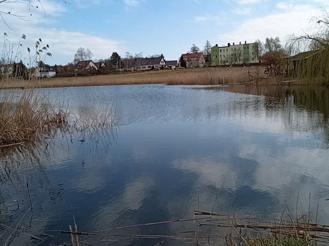 Pfarrteich Seeben (Halle) ALLE ANGELN