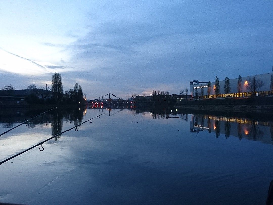 Neckarhafen (Stuttgart) angeln