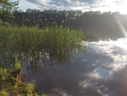 Militzsee (Crivitz)