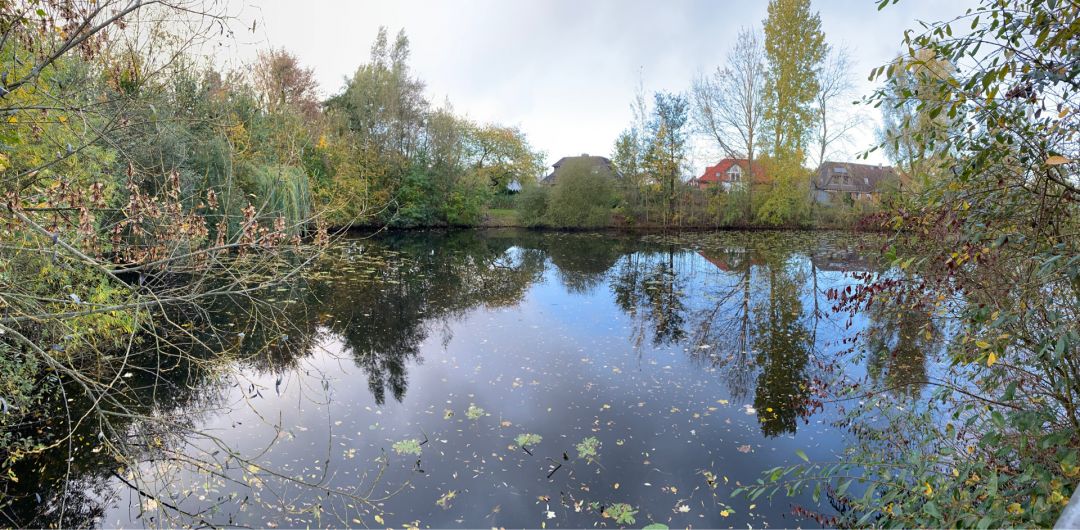 Rückhaltebecken am Anemonenweg angeln