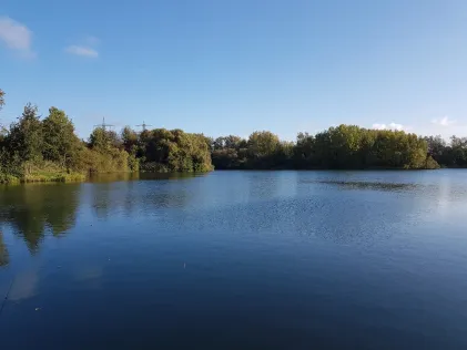 Steinwedeler Teich