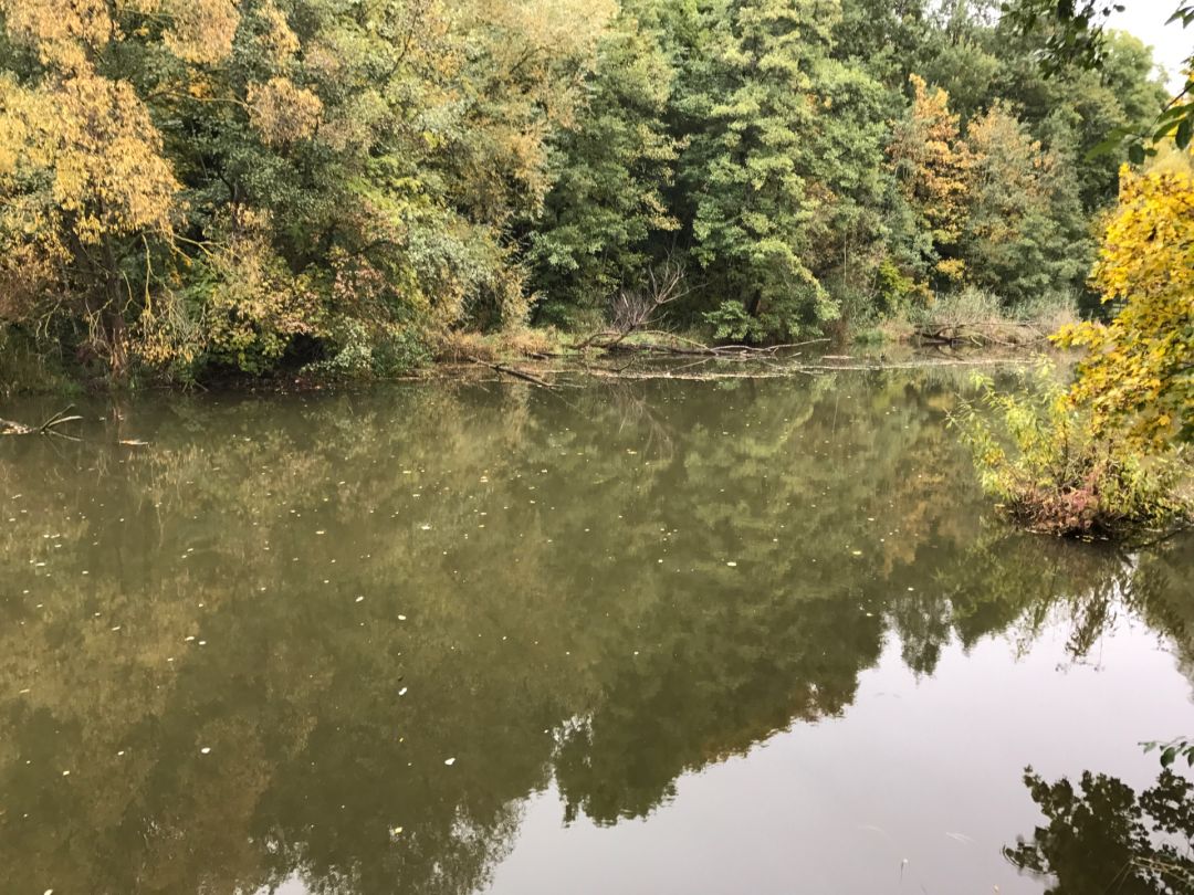 Angeln in Königsbronn