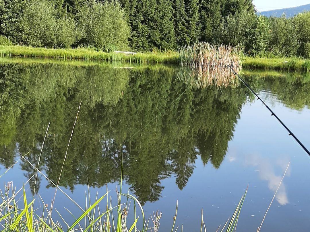 Gschwendtnermühlweiher angeln