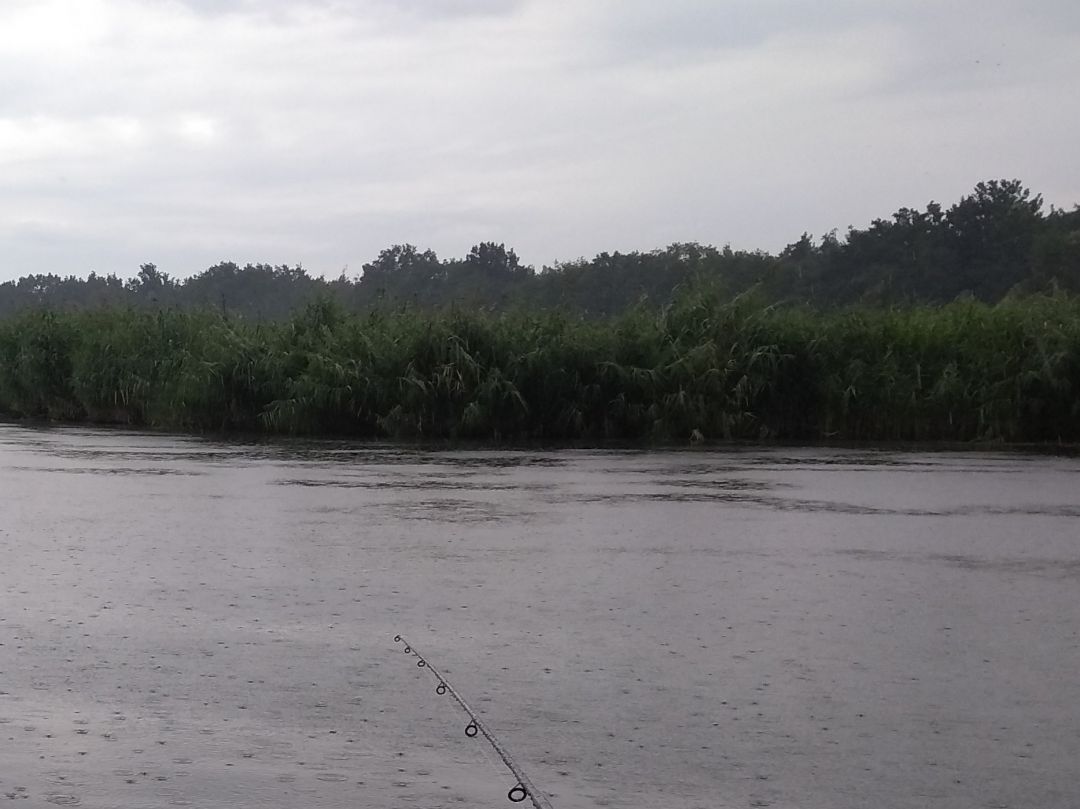 Oegelner See angeln