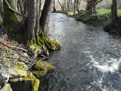 Pöhlwasser