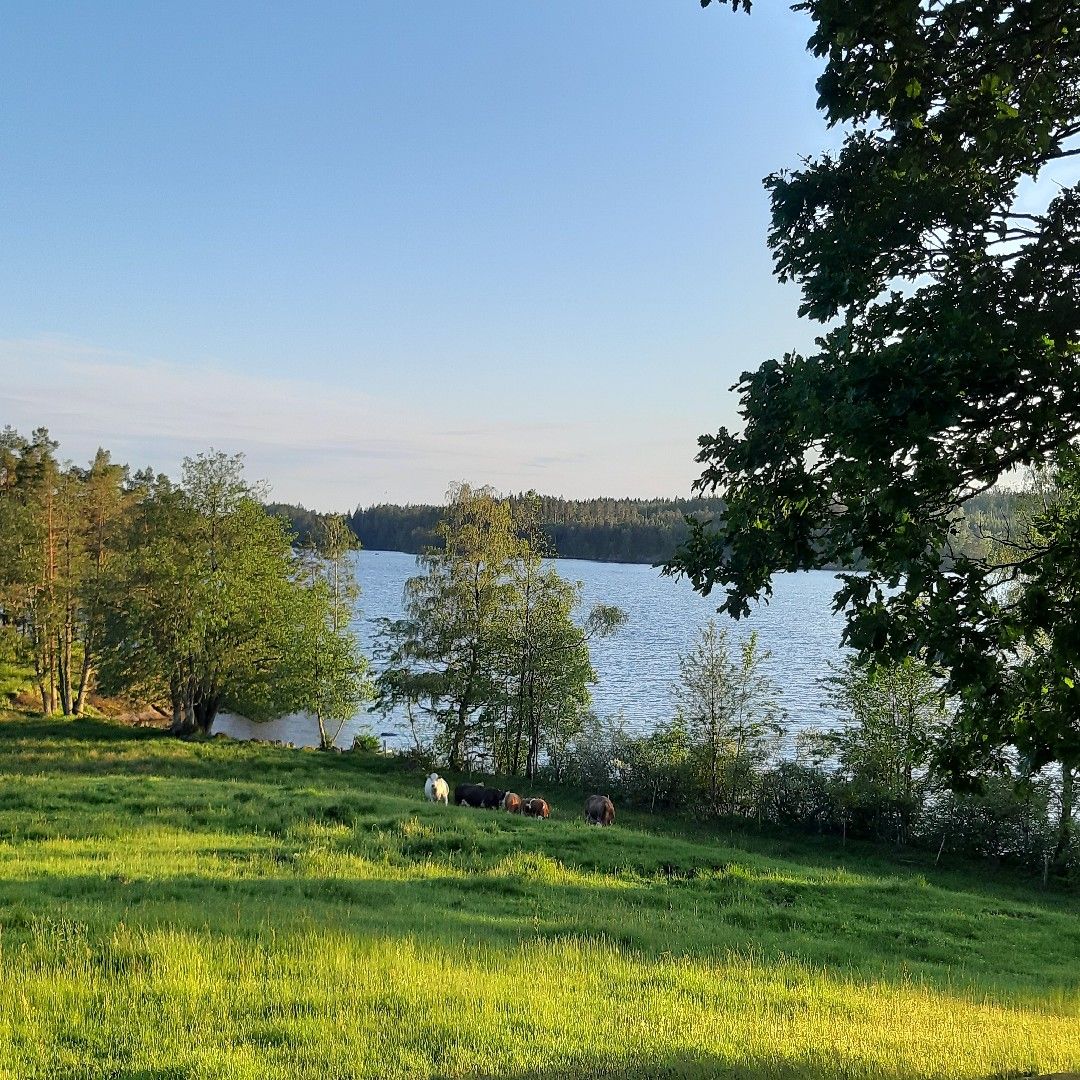 Järvasjön angeln