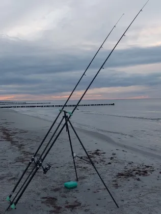 Ostsee (Prerow)