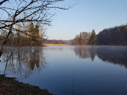 Bansee