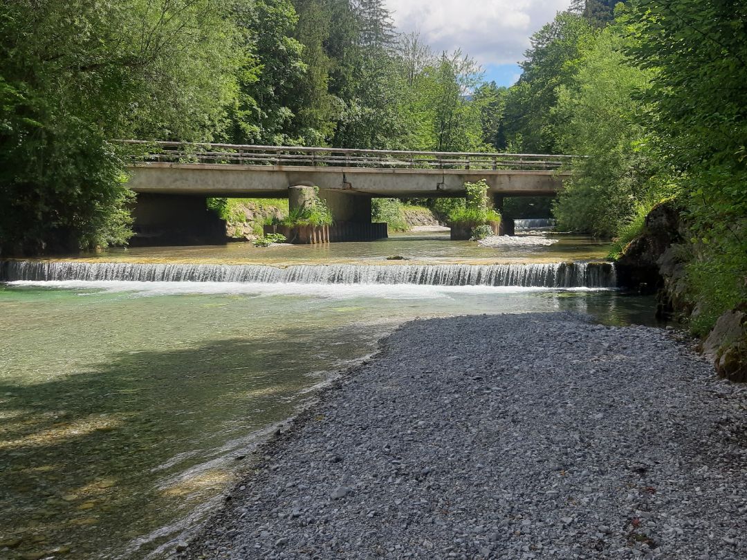 Weiße Traun (Ruhpolding) angeln