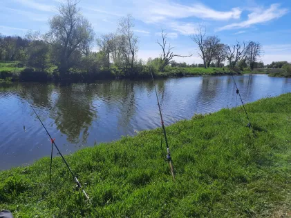 Alte Donau (Arbing)