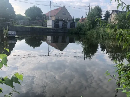 Unterteich (Schönborn)