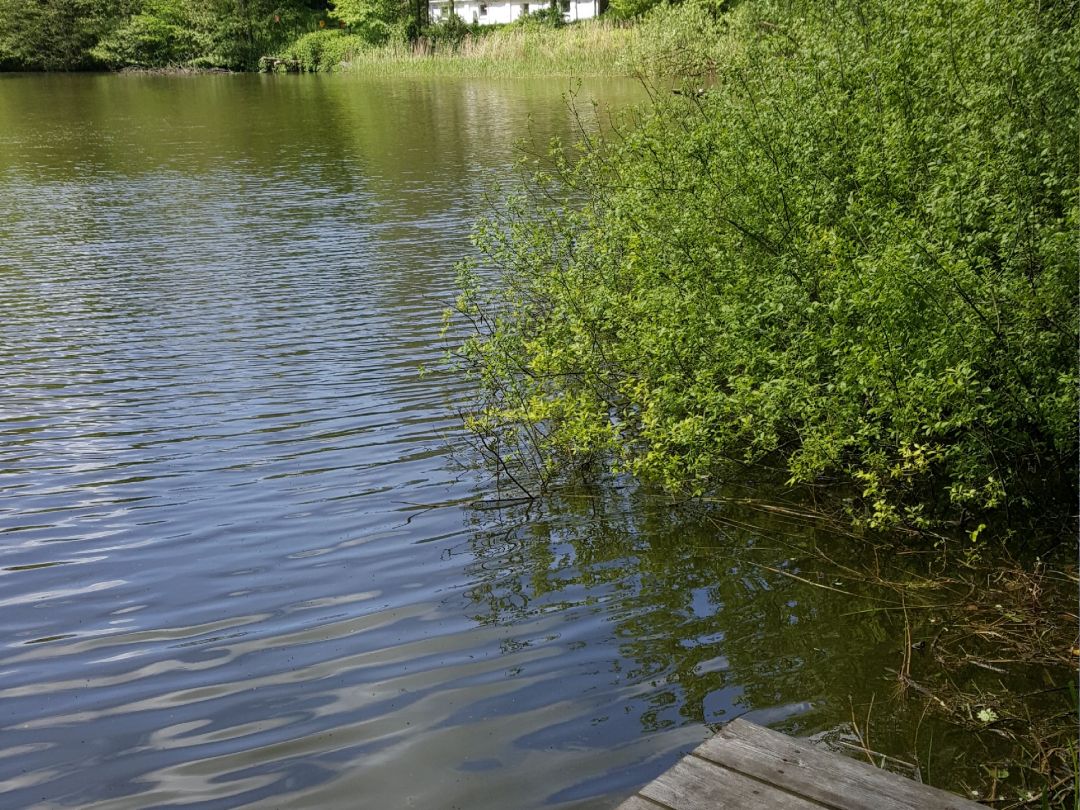 Kleine Tonkuhle (Itzehoe) angeln