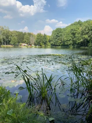Untere Saukaul (Landsweiler-Reden)