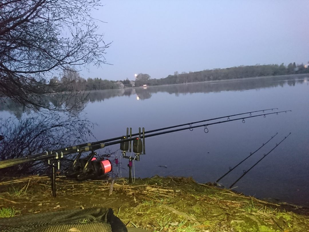 Tauchersee (Nordhausen) angeln