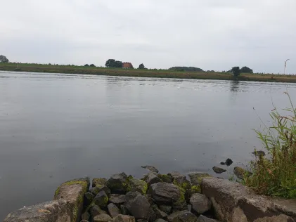 Weser (Dörverden)