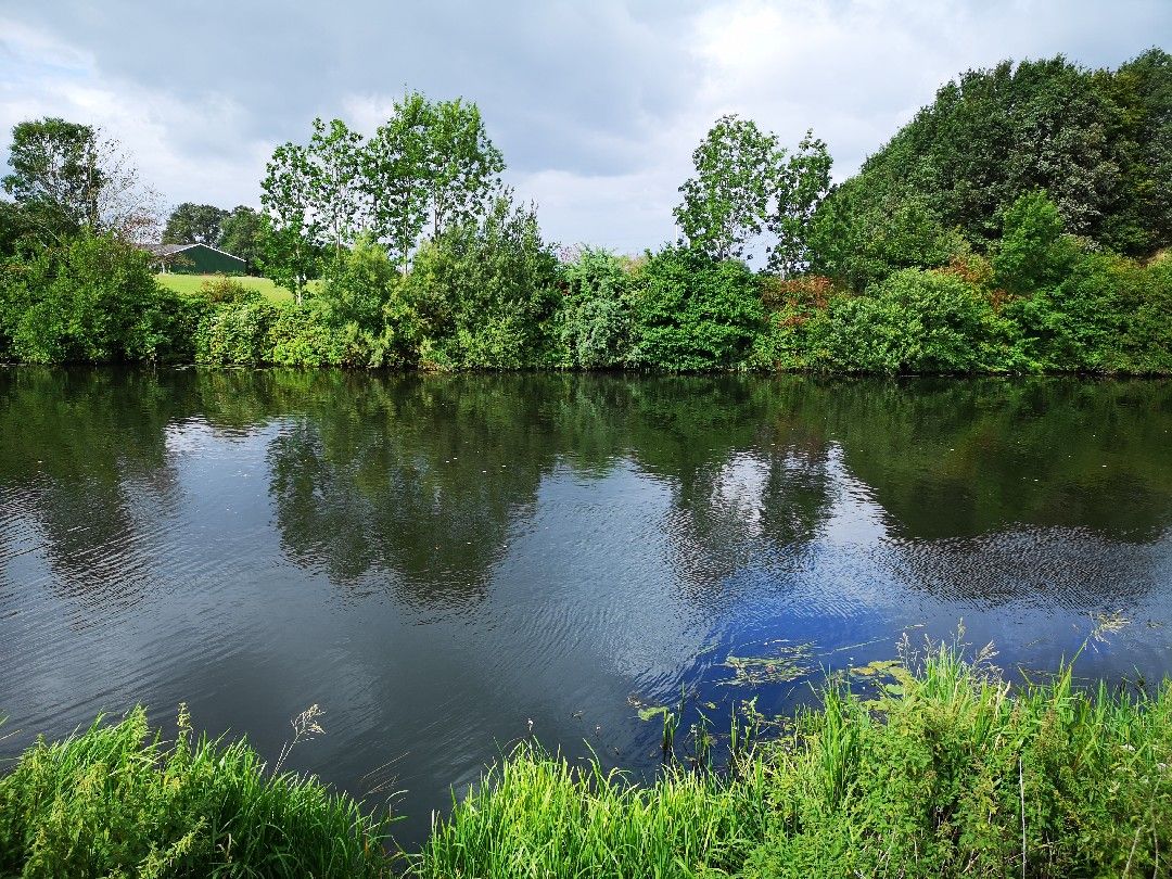 Oude Ijssel (Doetinchem) angeln