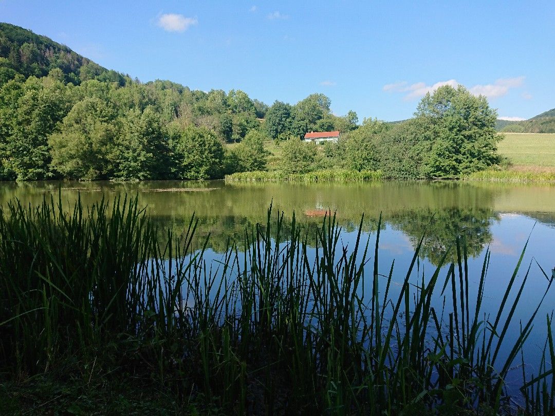 Angeln in Empfertshausen