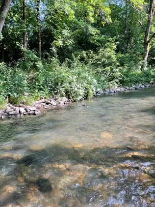 Sülz (Immekeppel)