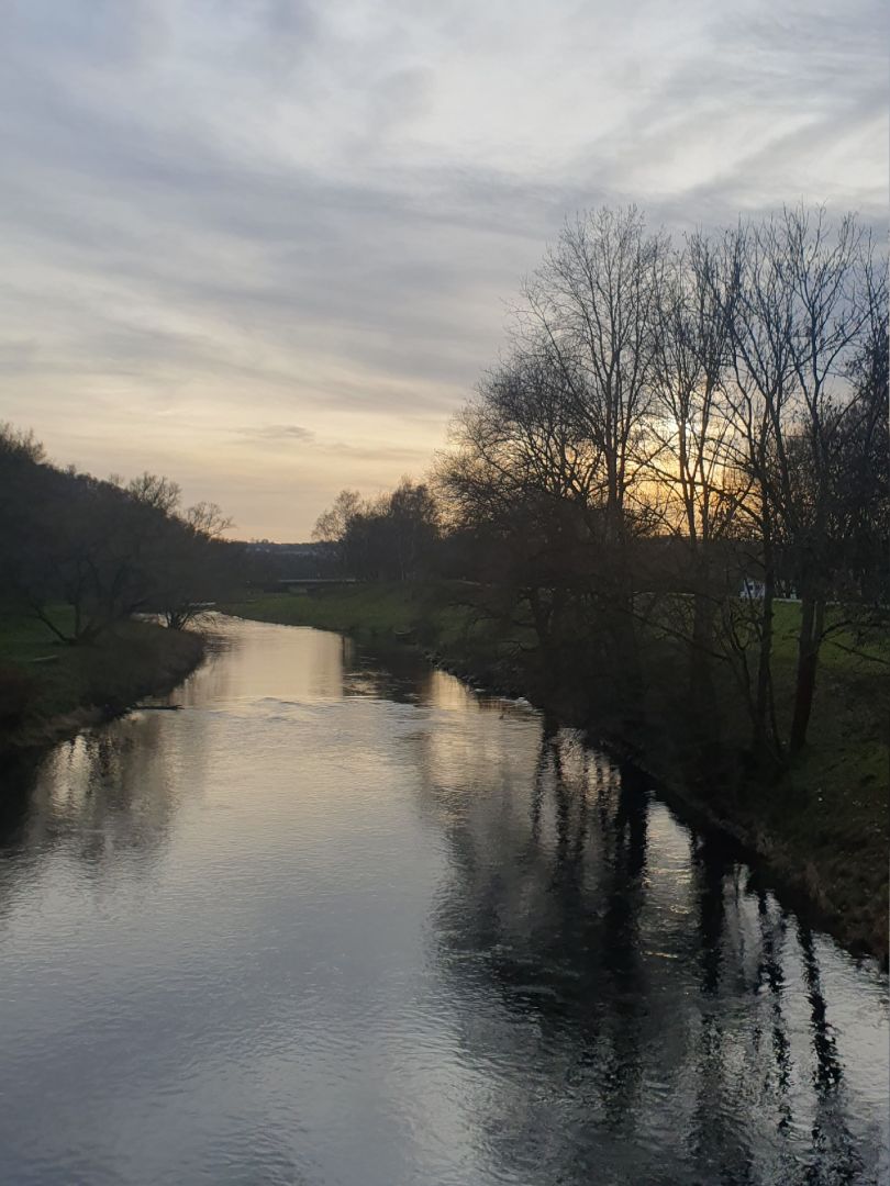 Zwickauer Mulde (Zwickau) angeln