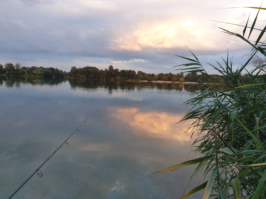 Steinhäuserwühlsee angeln