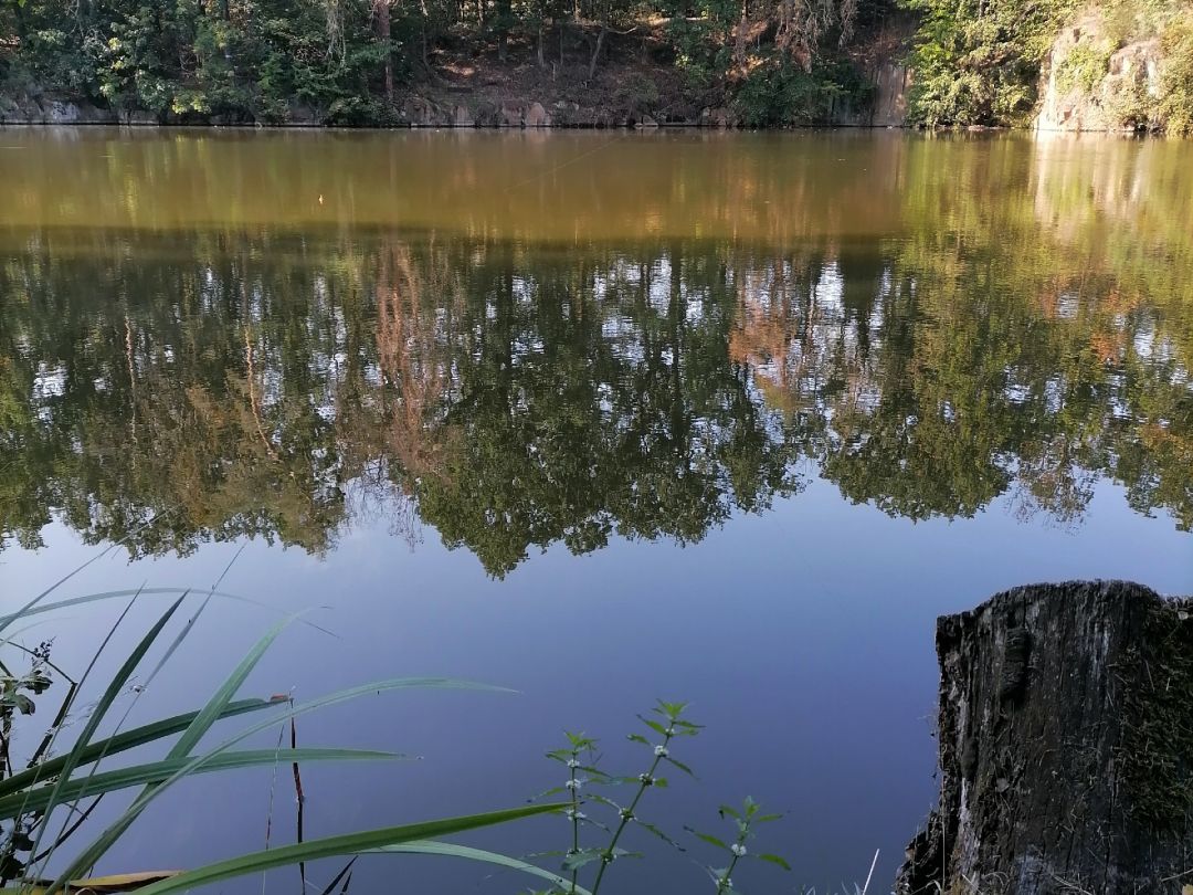 Anglerparadies Oschatz angeln