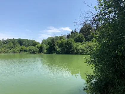 Buchenseen (Güttingen)