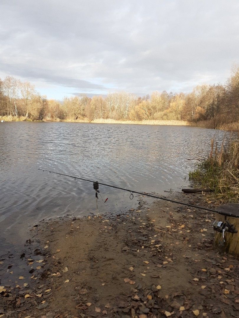 Schildower Kiessee angeln