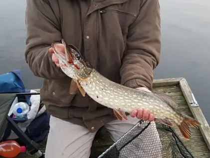 Kagarsee