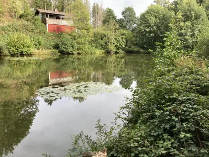 Teichanlage Michelbach