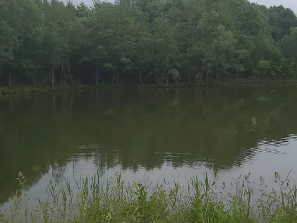 Osterwohld Teichanlage