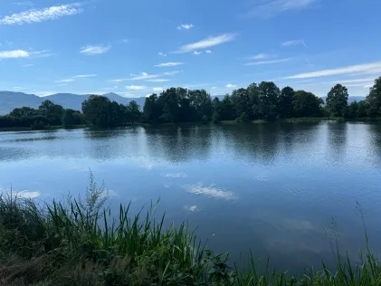 Staw Kąpielnik (Bukowiec)
