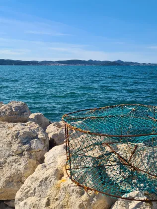 Adria (Zadar)