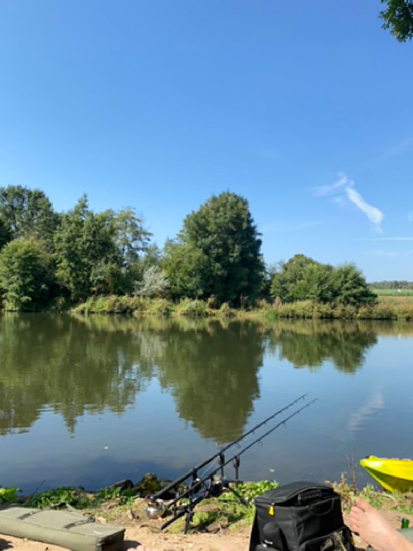 Regnitz (Hausen) angeln
