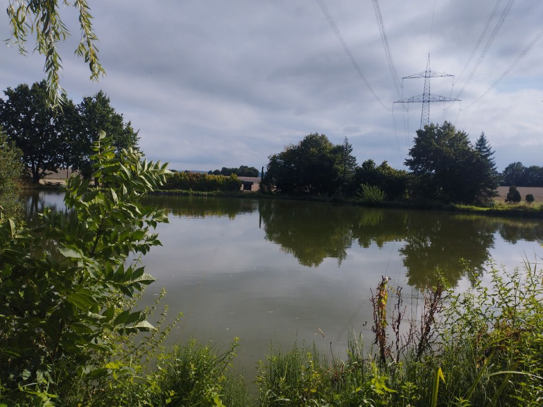 Wiesenweiher Pohle angeln