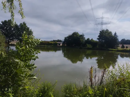 Wiesenweiher Pohle